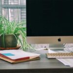 tanaman-meja-kerja-cover