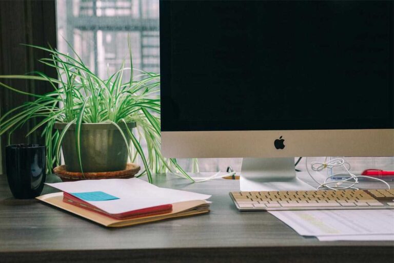 tanaman-meja-kerja-cover