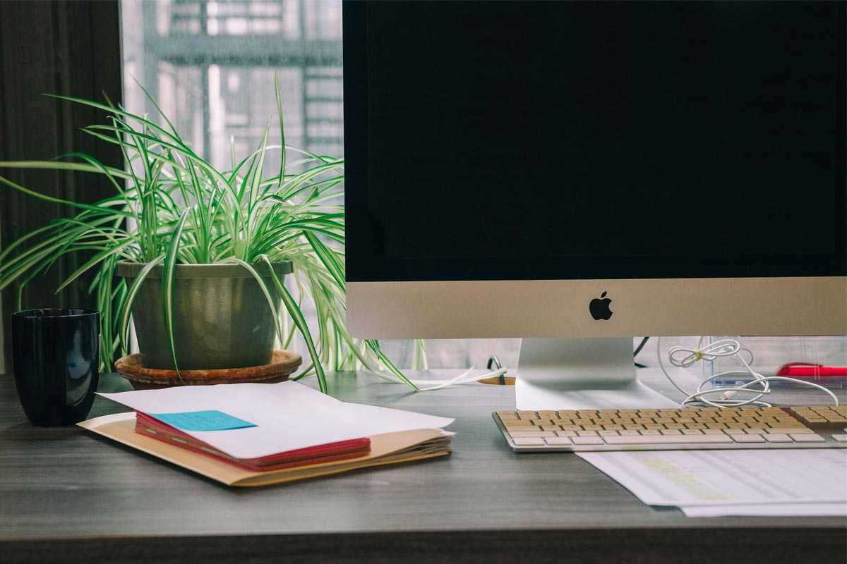 tanaman-meja-kerja-cover